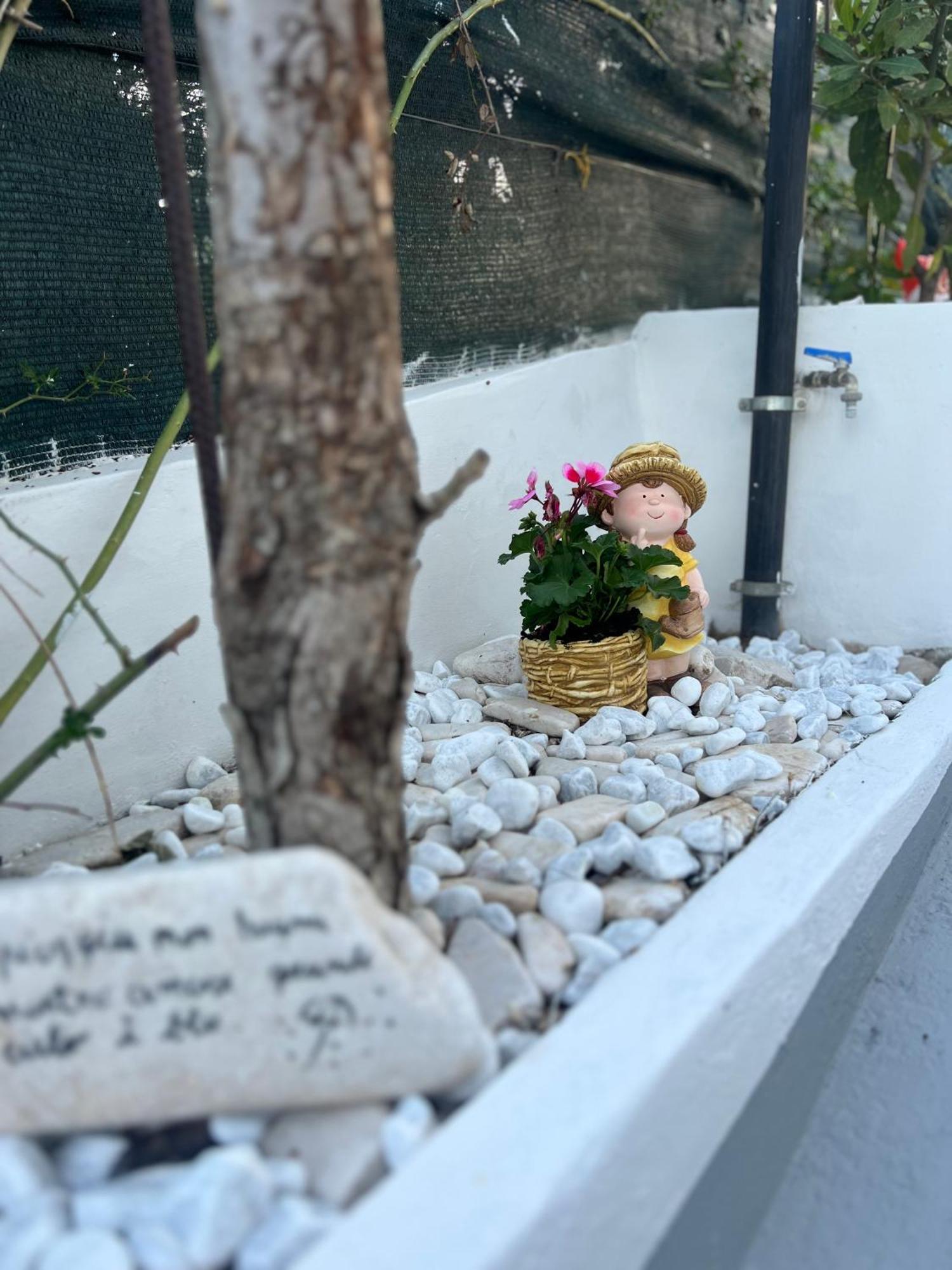 Casa Contrada Molinello Hotell Castellammare del Golfo Eksteriør bilde
